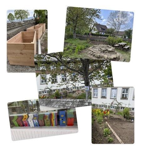 Schulgarten Schulgarten